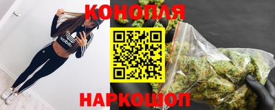 индика Гусь-Хрустальный