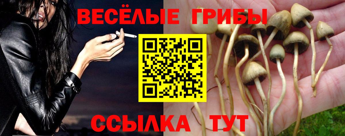 Галлюциногенные грибы MAGIC MUSHROOMS  Вход с VPN  Городец 